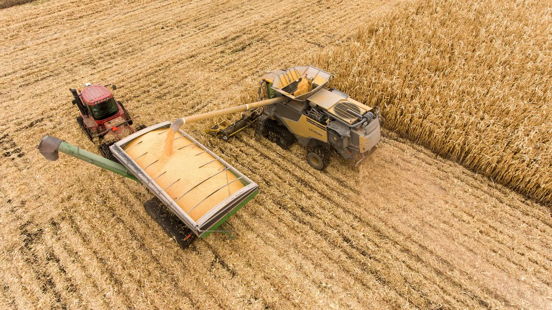 Farming agriculture harvest