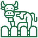 Livestock